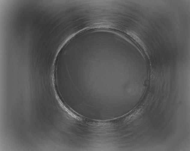 X0000073920941200608251546