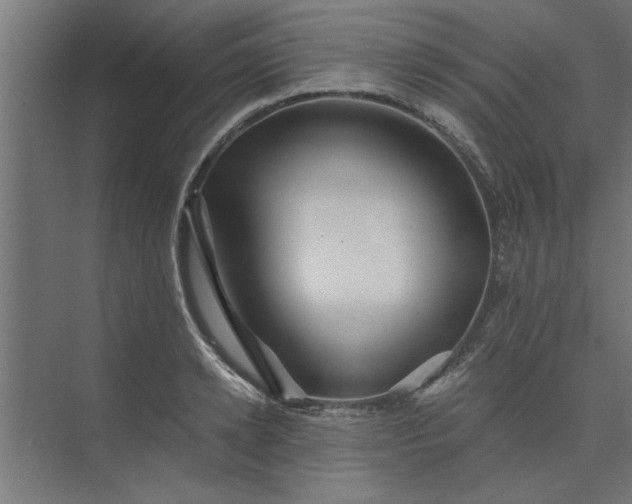 X0000073920942200608251546