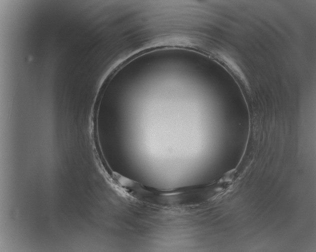 X0000073920944200608251546