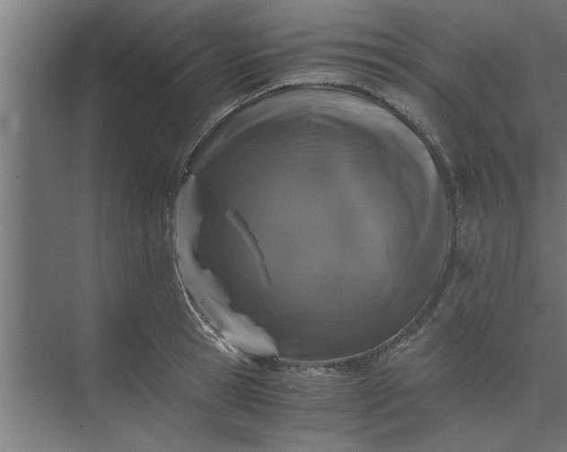 X0000073920945200608251546