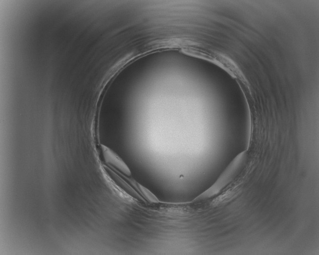 X0000073920946200608251546