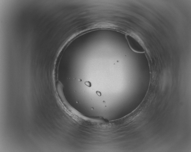 X0000073920947200608251546