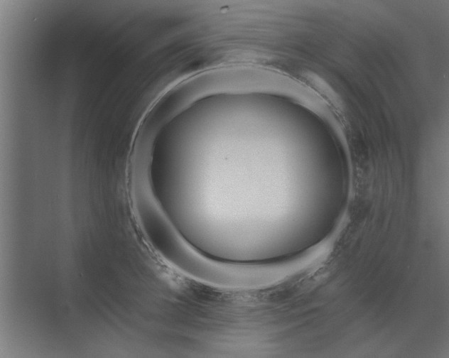 X0000073920948200608251546