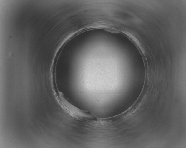 X0000073920949200608251546