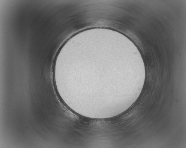 X0000073920950200608251546