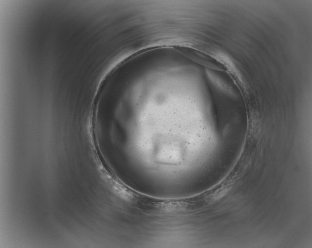 X0000073920952200608251546