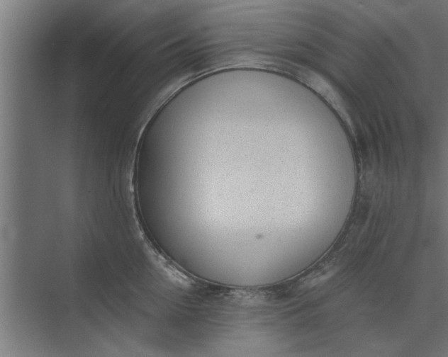 X0000073920954200608251546