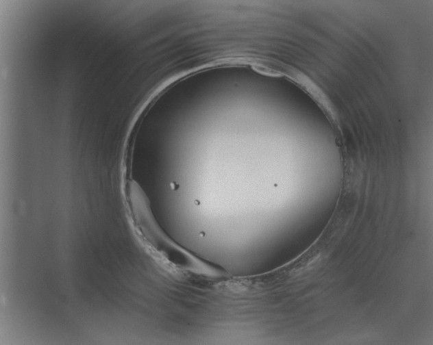 X0000073920955200608251546