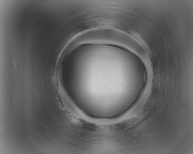 X0000073920956200608251546