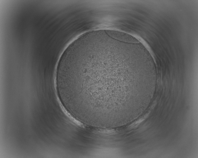 X0000073920957200608251546