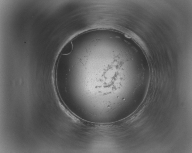 X0000073920958200608251546