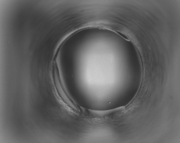 X0000073920960200608251546