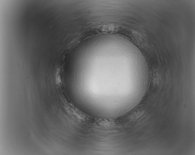 X0000073920962200608251545