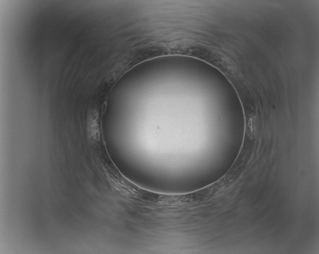 X0000073920963200608251545