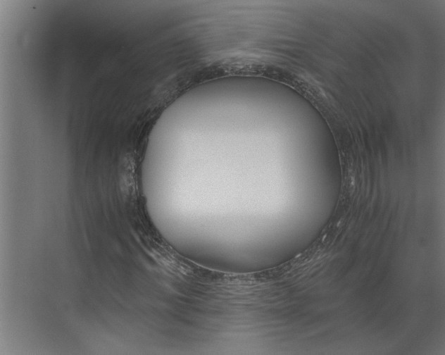 X0000073920964200608251545