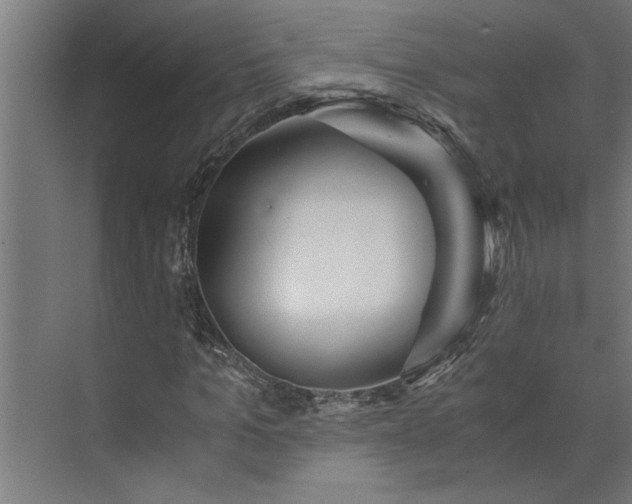 X0000073920965200608251545