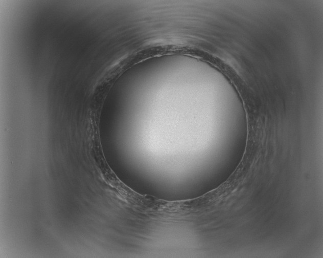 X0000073920967200608251545