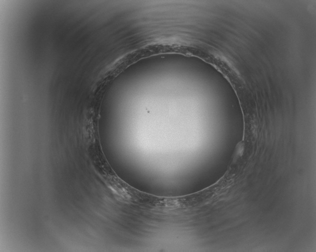 X0000073920968200608251545