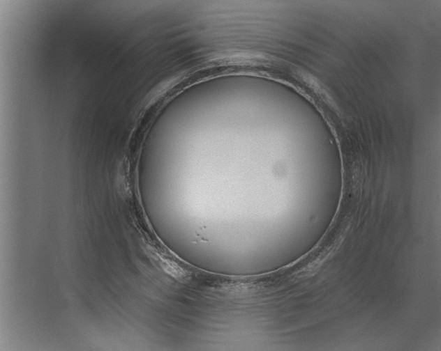 X0000073920970200608251545