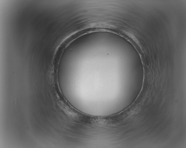 X0000073920971200608251545