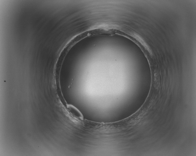 X0000073920972200608251545