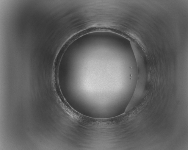 X0000073920976200608251545