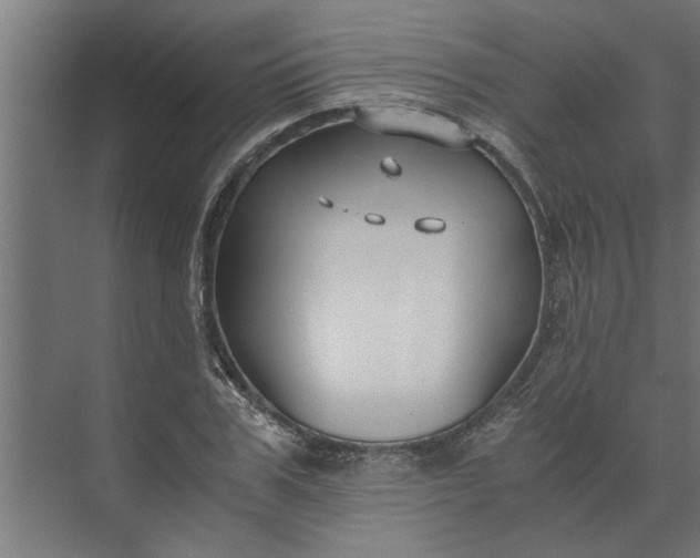 X0000073920979200608251545