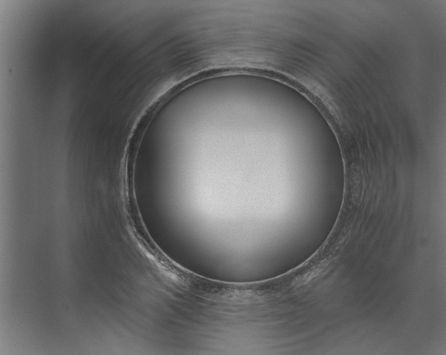 X0000073920982200608251545