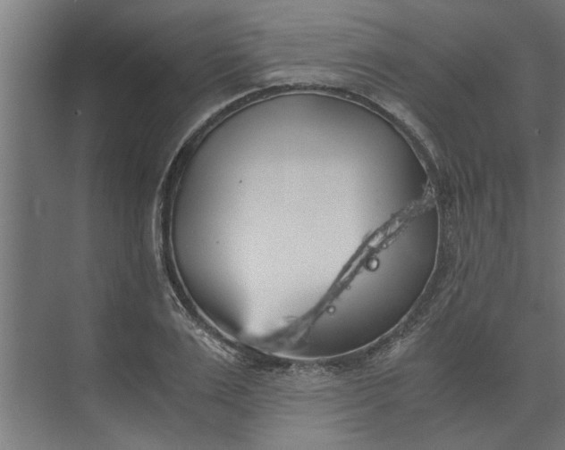 X0000073920983200608251545