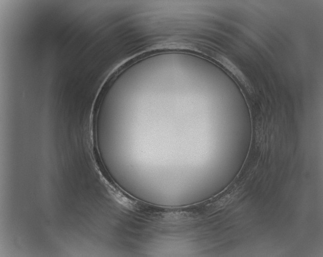 X0000073920988200608251545