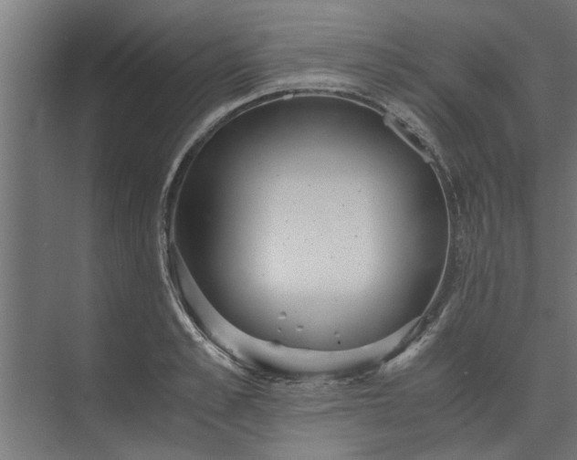 X0000073920989200608251545