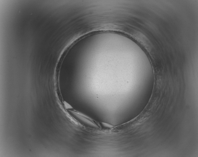 X0000073920990200608251545