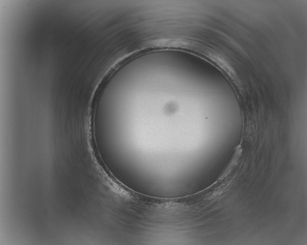 X0000073920992200608251545