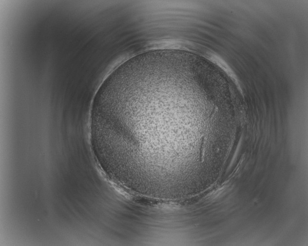 X0000073920994200608251545