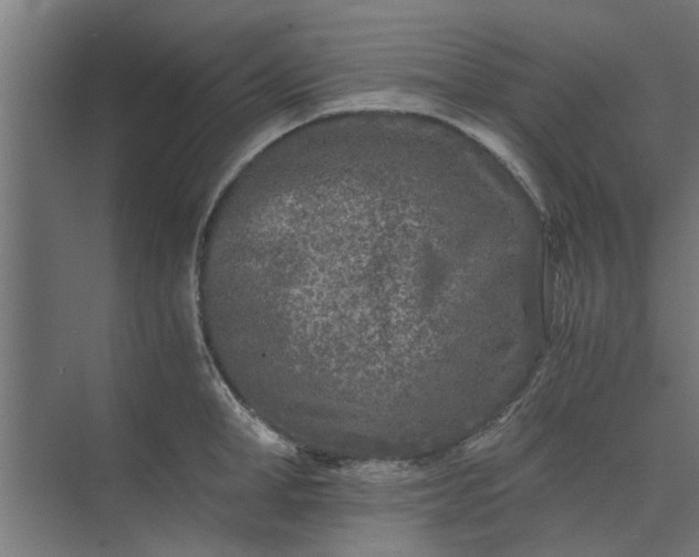 X0000073920998200608251544