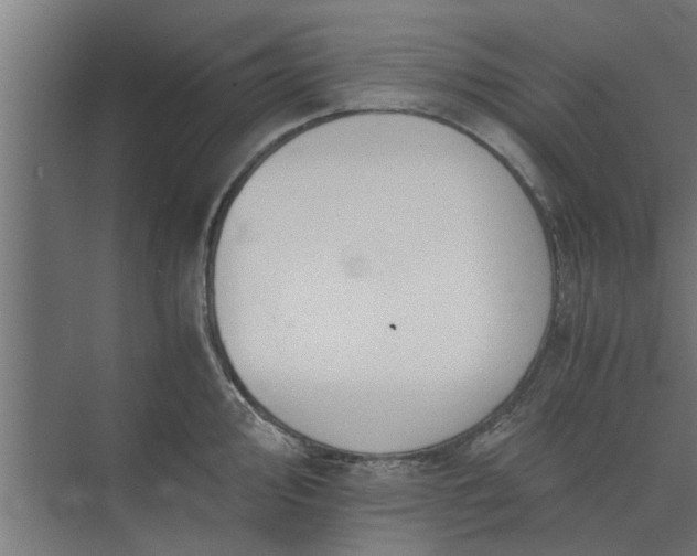 X0000073921000200608251544