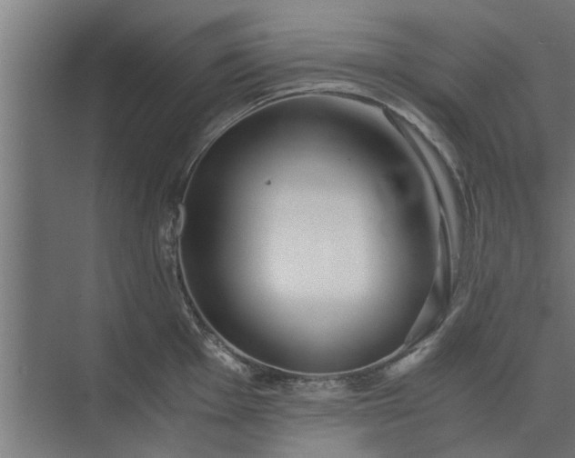 X0000073921001200608251544