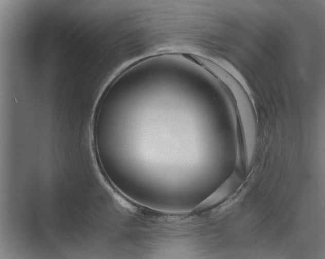 X0000073921005200608251544