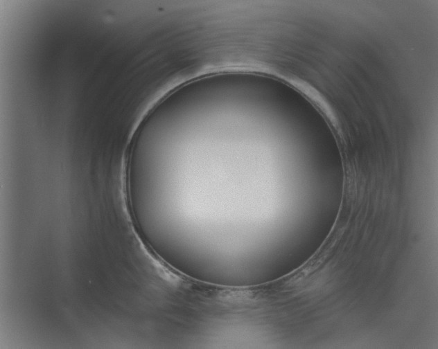 X0000073921006200608251544