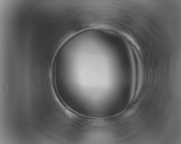 X0000073921007200608251544