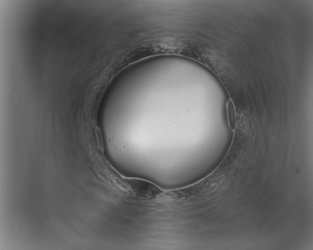 X0000073921009200608251543