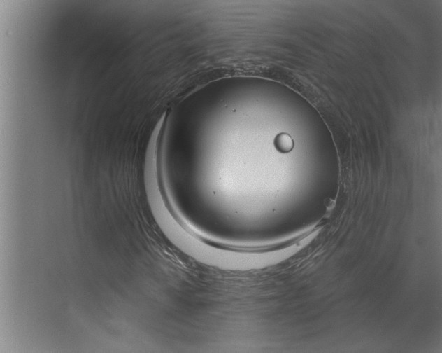 X0000073921010200608251543