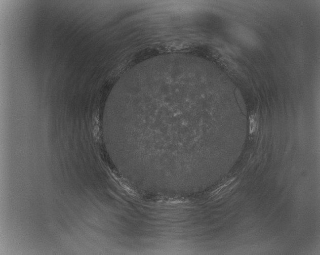 X0000073921011200608251544