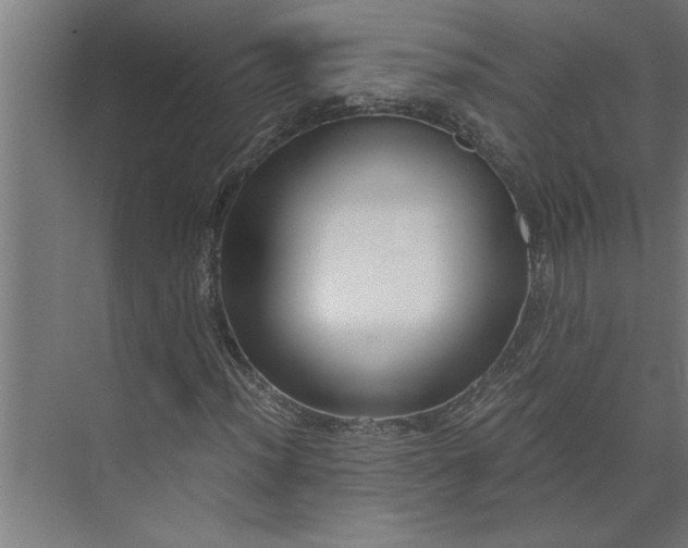 X0000073921012200608251544