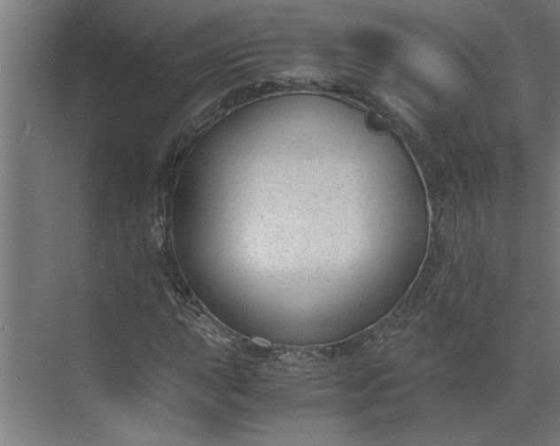 X0000073921015200608251544