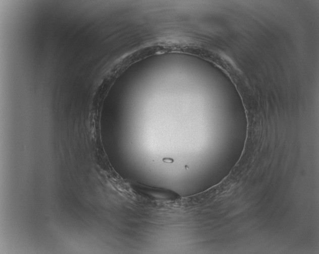 X0000073921016200608251544