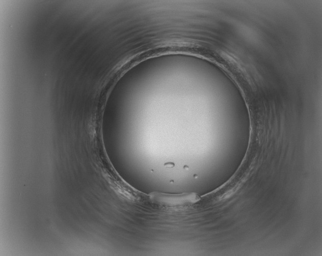 X0000073921017200608251544