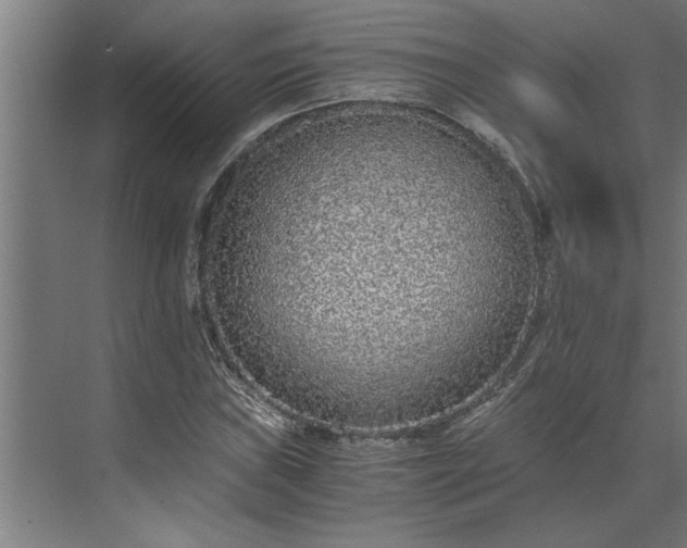 X0000073921019200608251544