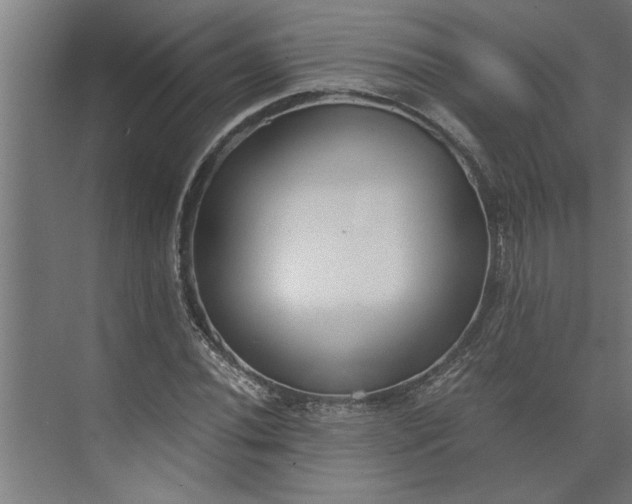 X0000073921020200608251544