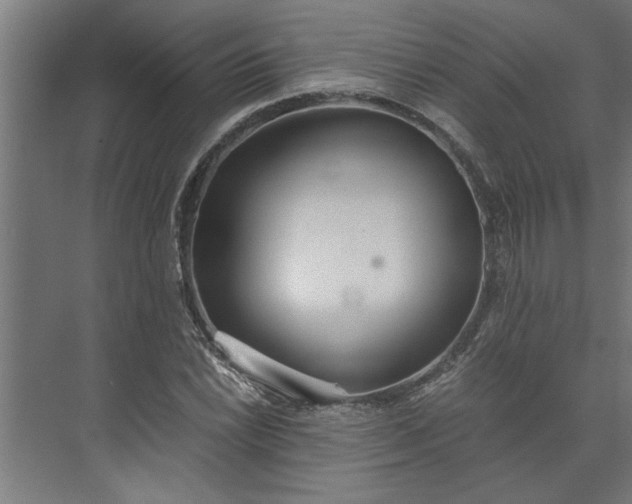 X0000073921022200608251544